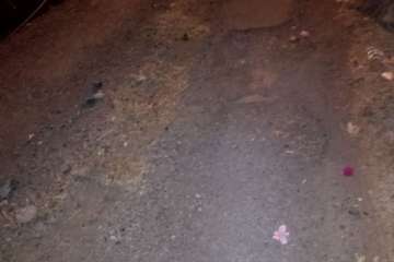 El Cubillo demanda el asfaltado de su camino vecinal (Foto TA)