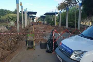 Poda de los setos del paseo central del parque de San Juan-Telde (Foto TA)