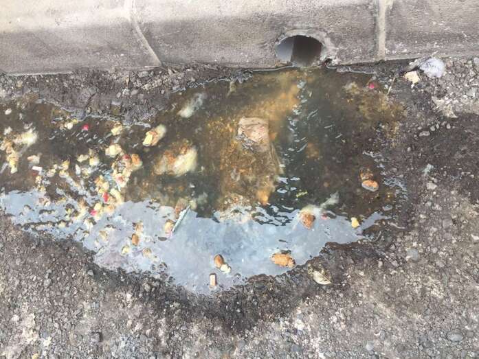 Las aguas fecales salen por el desagüe de pluviales de un edificio (Foto TA)