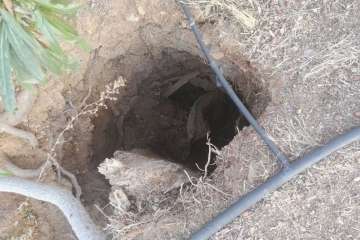 Peligroso agujero en el parque (Foto TA)