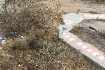 Parques y Jardines elimina los árboles de la calle de Maestra Chanita Ruiz (Telde)