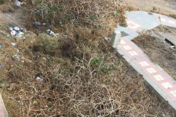 Parques y Jardines elimina los árboles de la calle de Maestra Chanita Ruiz (Telde)