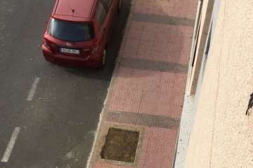 Parques y Jardines elimina los árboles de la calle de Maestra Chanita Ruiz (Telde)