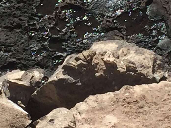 Imagen captada esta misma mañana en la zona (Foto TA)