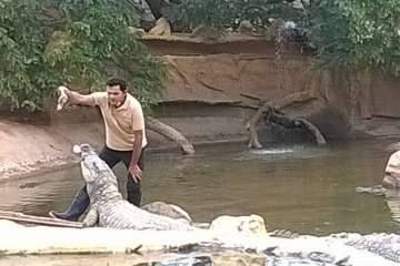 Jinámar, de visita en Cocodrilo Park (Foto TA)
