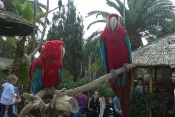 Jinámar, de visita en Cocodrilo Park (Foto TA)