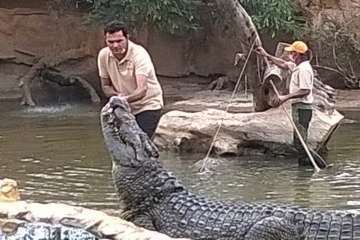 Jinámar, de visita en Cocodrilo Park (Foto TA)