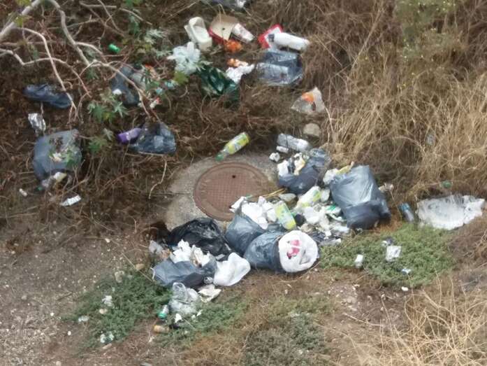 Basura acumulada en el solar (Foto TA)