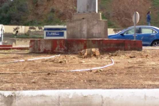 La rotonda de Eucaliptos I se queda sin árboles (Foto TA)