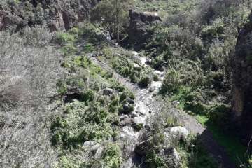 El Barranco San Miguel 'baja' agua para Telde