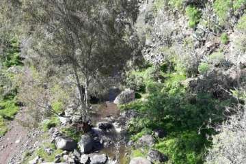 El Barranco San Miguel 'baja' agua para Telde