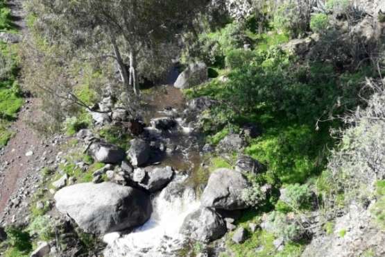 El Barranco San Miguel 'baja' agua para Telde