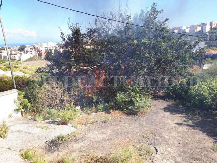 Los bomberos sofocaron las llamas sin mayor dificultad (Foto TA)