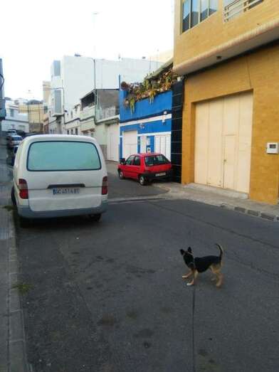 Coche aparcado sobre la acera (Foto TA)