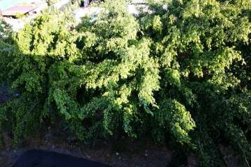 Foto TA