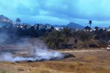 Incendio en un palmeral de Jinámar (Foto TA)