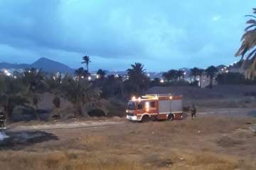 Incendio en un palmeral de Jinámar (Foto TA)