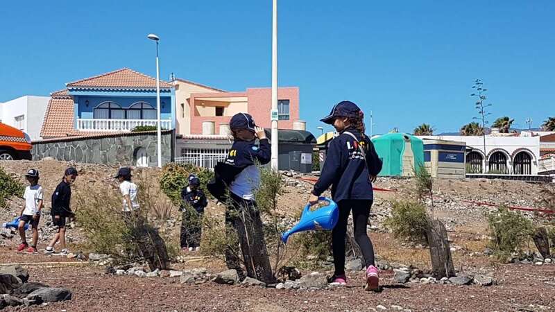 Escolares en la plantación próxima a la avenida de La Garita (Foto TA)