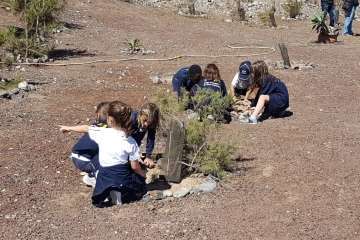 Taller de residuos y cuidado de una plantación en La Garita (Foto TA)