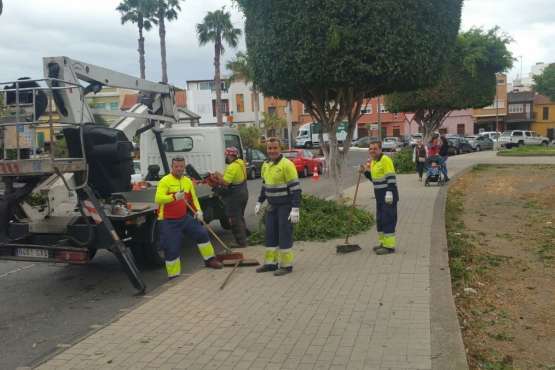 Poda de árboles en la calle de Farmacéutica Suárez López (Foto TA)