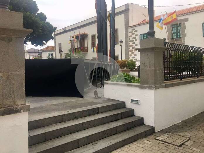 Gatos  pardos, esta mañana en las inmediaciones del escenario (Foto TA)