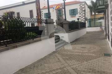  Gatos pardos se solidarizan en San Juan con el felino negro 'jubilado' (Foto TA)