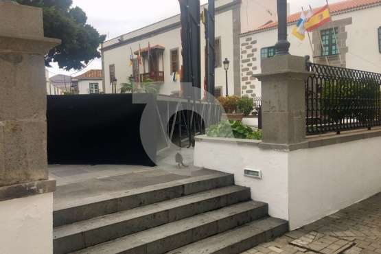  Gatos pardos se solidarizan en San Juan con el felino negro 'jubilado' (Foto TA)
