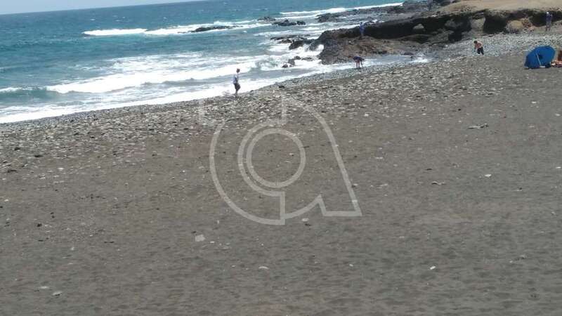 La acción se llevó a cabo el pasado sábado 14 de julio (Foto TA)