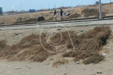 Voluntarios limpian la playa de La Restinga (Foto TA)