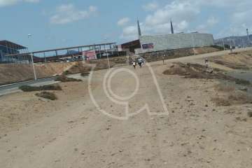 Voluntarios limpian la playa de La Restinga (Foto TA)