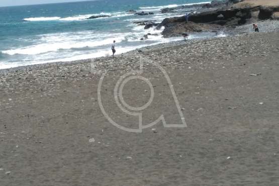 Voluntarios limpian la playa de La Restinga (Foto TA)