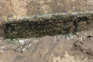 Lavapiés y duchas en las playas de Telde, posibles focos de infección (Foto TA)