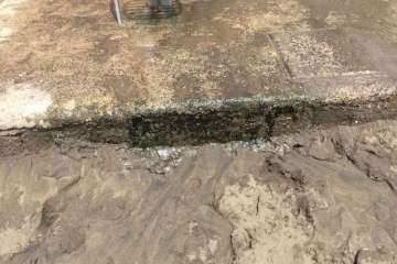 Lavapiés y duchas en las playas de Telde, posibles focos de infección (Foto TA)