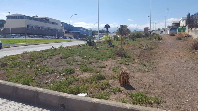 Imagen de los jardines que dan entrada al colegio de La Garita (Foto TA)