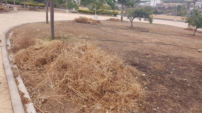 Restos de limpieza amontonados en un espacio público de El Contrapeso (Foto TA)