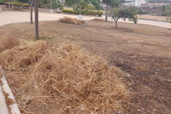 Los restos de la limpieza, amontonados en El Contrapeso (Foto TA)