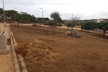 Los restos de la limpieza, amontonados en El Contrapeso (Foto TA)