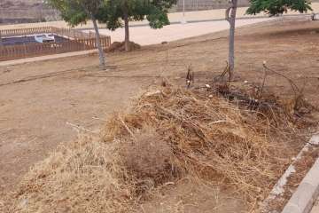 Los restos de la limpieza, amontonados en El Contrapeso (Foto TA)