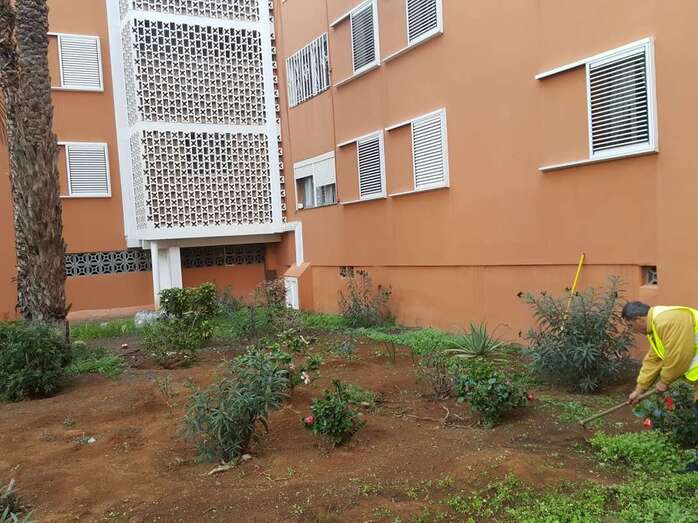 En el barrio están cansados de pedir a Parques y Jardines que adecente los espacios verdes (Foto TA)