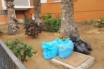 Los vecinos de Las Remudas vuelven a coger el sacho para adecentar sus jardines (Foto TA)
