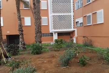 Los vecinos de Las Remudas vuelven a coger el sacho para adecentar sus jardines (Foto TA)