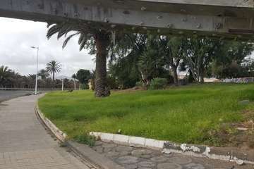 Los vecinos de Las Remudas vuelven a coger el sacho para adecentar sus jardines (Foto TA)