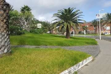 Los vecinos de Las Remudas vuelven a coger el sacho para adecentar sus jardines (Foto TA)