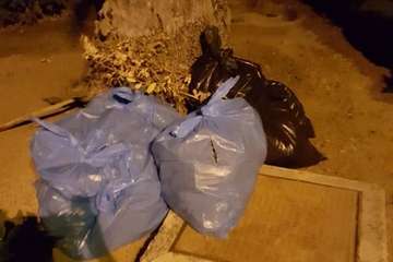 Los vecinos de Las Remudas vuelven a coger el sacho para adecentar sus jardines (Foto TA)