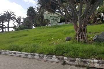 Los vecinos de Las Remudas vuelven a coger el sacho para adecentar sus jardines (Foto TA)