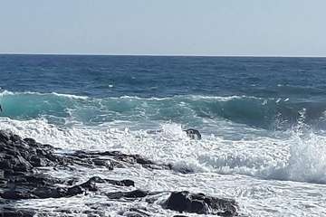  Salinetas cumple con la travesía del 1 de enero (Foto TA)