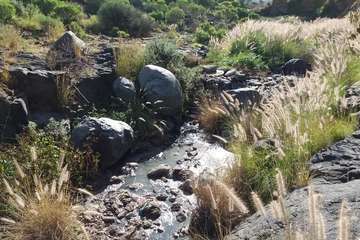 Nuevo derrame de aguas fecales en el Barranco Real de Telde (Foto TA)