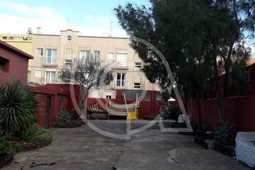 Críticas por la tala de un viejo árbol en Clavellinas (Foto TA)