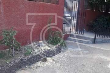 Críticas por la tala de un viejo árbol en Clavellinas (Foto TA)