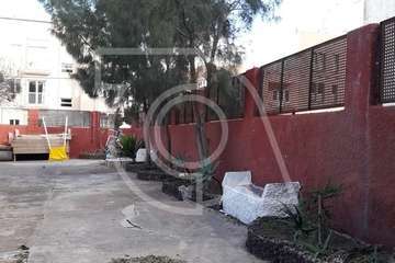 Críticas por la tala de un viejo árbol en Clavellinas (Foto TA)